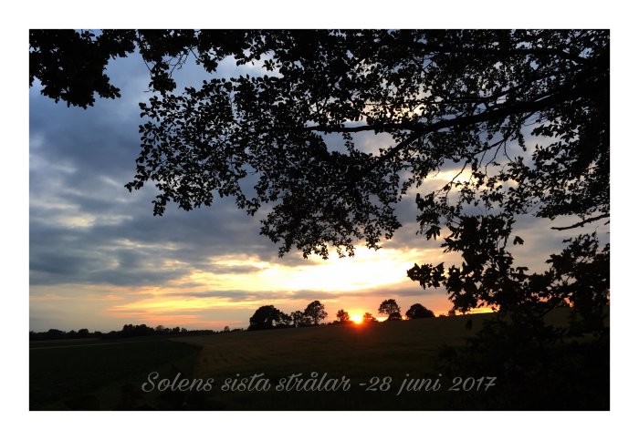 Solnedgång med trädens silhuetter mot en målande himmel över fältet, daterat 28 juni 2017.