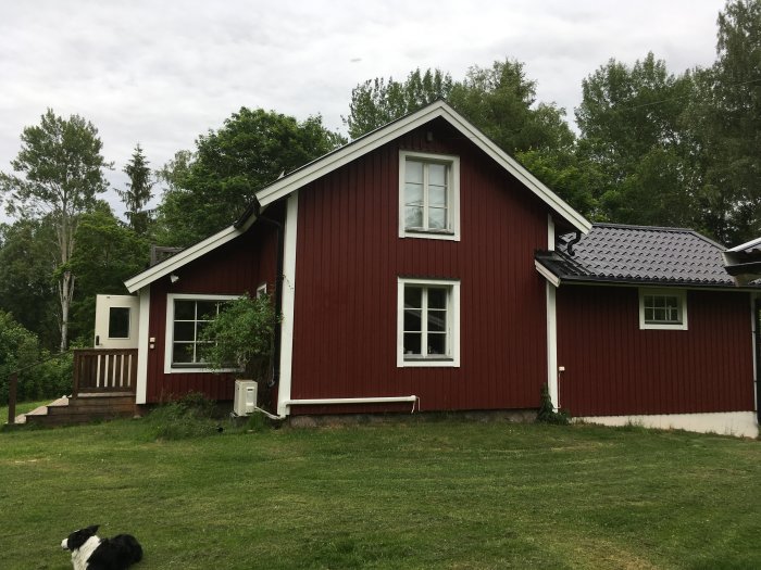 Rödmålat trähus med vita fönster och svart tak, träveranda och grön gräsmatta, hund i förgrunden.