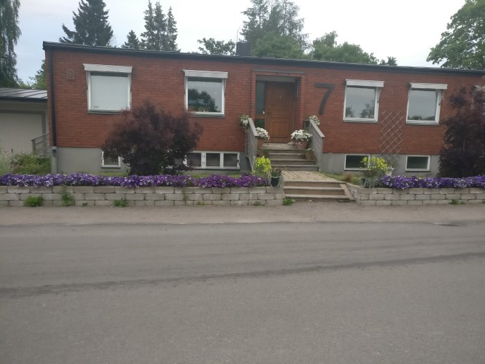 Ett hus med tegelfasad och trädgård i förgrunden med murad upphöjd rabatt och lila blommor.