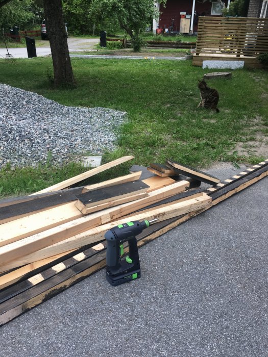 Demonterade träplankor och en elektrisk skruvdragare på en asfalterad väg med en katt i bakgrunden.