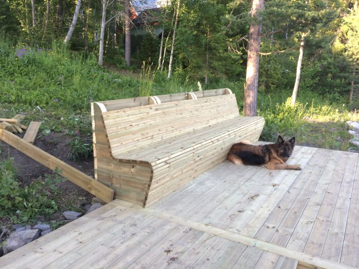 Altanbygge vid strand med ihopskruvade trägavlar och en hund vilar på trägolvet.