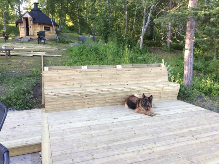 Altan under konstruktion vid strand med en hund, trämaterial synligt, liten stuga i bakgrunden.