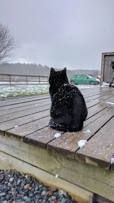 Svart katt som sitter på en träterrass täckt av snö med ett grått landskap i bakgrunden.