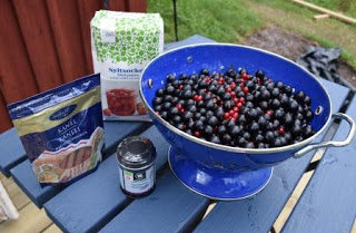 Rensade blandade vinbär i blå durkslag, syltsocker, vanilj och syltburk på trädgårdsbord.