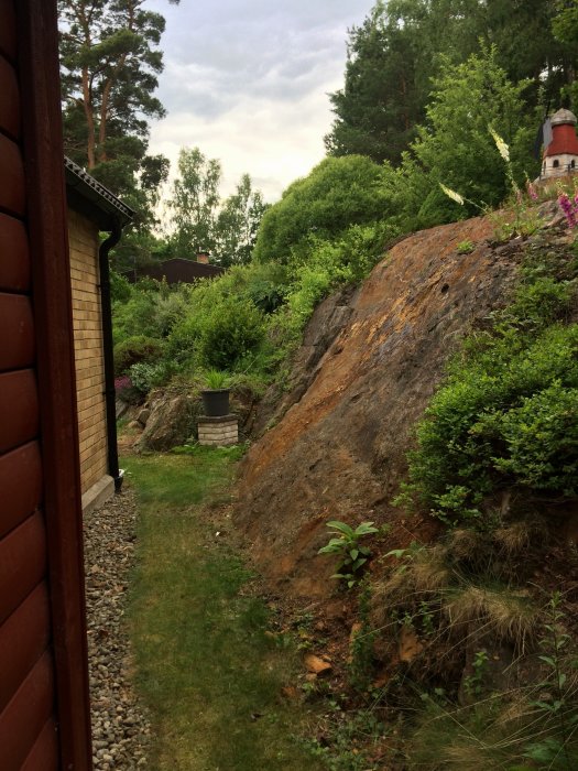 Bergssluttning intill hus med buskig vegetation och smal grässtrimma.