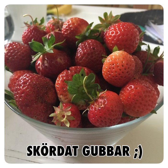 En skål med färska röda jordgubbar, första skörden från pallkragar.