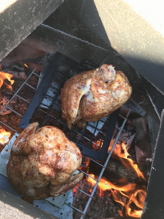 Två helgrillade kycklingar på en improviserad grill över öppen eld.