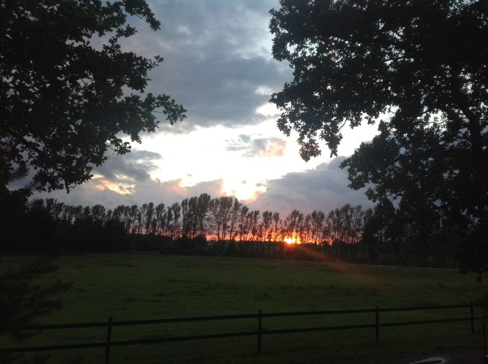 Solnedgång med moln över en grön äng omgärdad av ett trästaket.