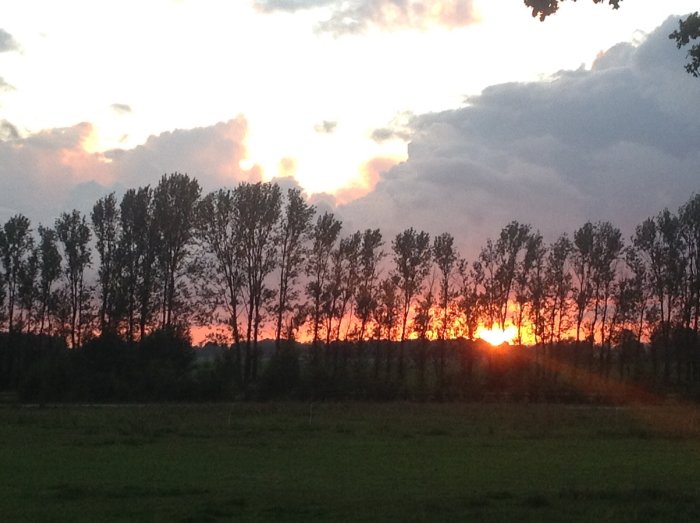 Solnedgång bakom trädlinje med dramatisk himmel och orange sken på en regnig dag.
