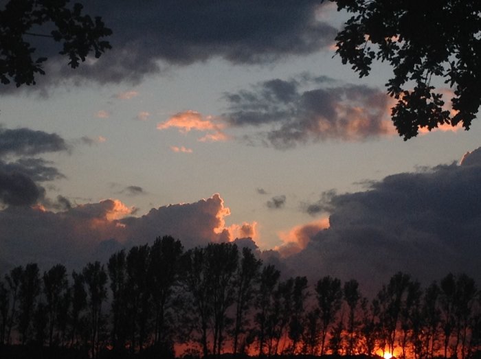 Solnedgång med orangerosa moln och silhuetter av träd mot en mörknande himmel.