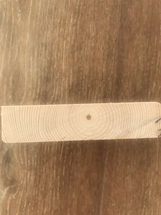 Kärnfura provbit på träyta, med synliga årsringar och en del av märkning synlig.
