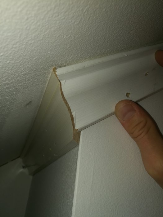 Hand som håller en felkapad list i ett hörn där tak möter vägg, synlig felvinkel på listens snitt.