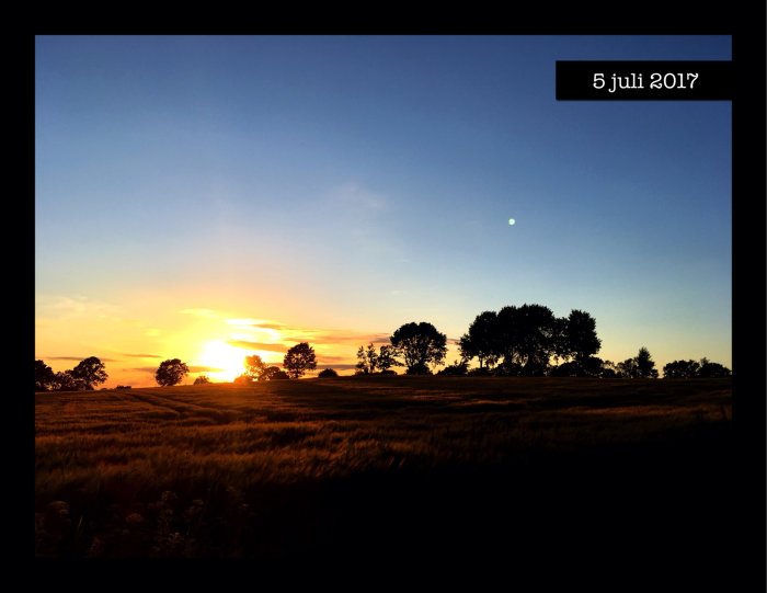 Solnedgång över ett fält med träd silhuetter och himmel i orange och blå toner, datumstämpel "5 juli 2017".