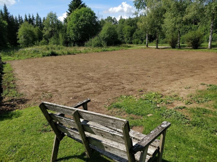 Ny sådd gräsmatta med jordytor och en sliten träbänk i förgrunden under en klar himmel.