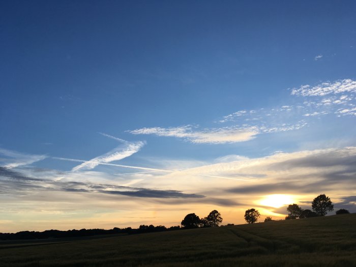 Solnedgång över fält med trädsiluetter och himmel med strimmoln.