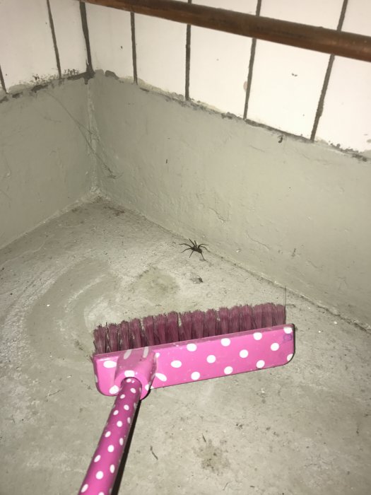 Ett hörn av en orenoverad tvättstuga med vitmålade väggar och ruffigt betonggolv, rosa sopborste och spindel.