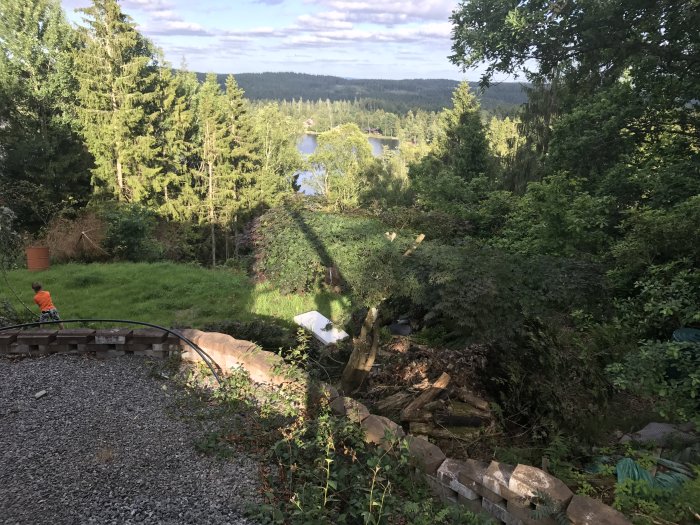 Oskött trädgård med övervuxna buskar och träd, utsikt mot en sjö och skog i bakgrunden.