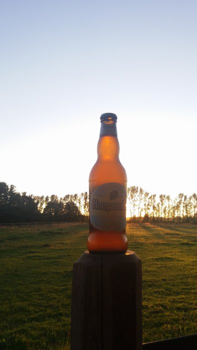 Ölflaska mot kvällssolens ljus med träd och öppet fält i bakgrunden.