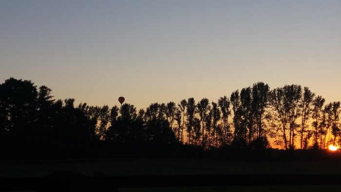Kvällssol vid horisonten bakom träd och en luftballong i skymningen.