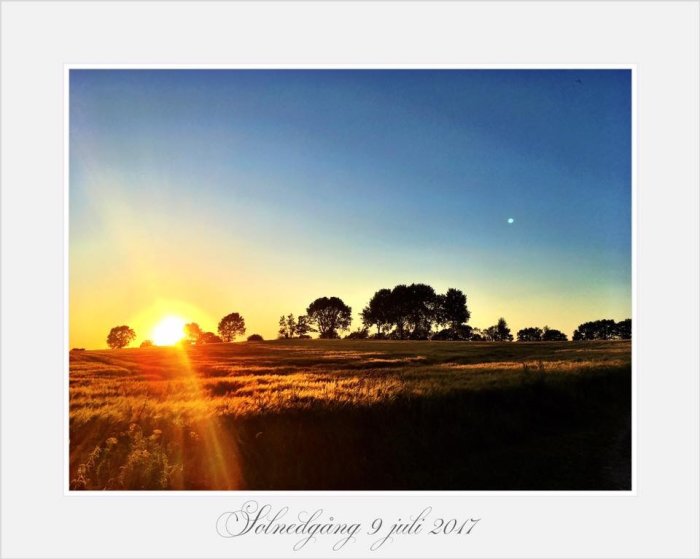 Solnedgång över ett fält med träd och strålande sol längs horisonten, text "Solnedgång 9 juli 2017".