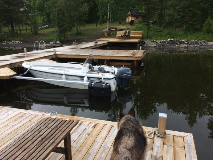 Brygga med båtar och en hund som tittar mot en strand och stuga vid Sjöövalla gård.