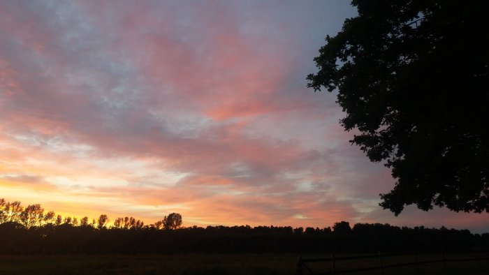 Solnedgång med rosa moln över ett lantligt landskap med träd och staket.