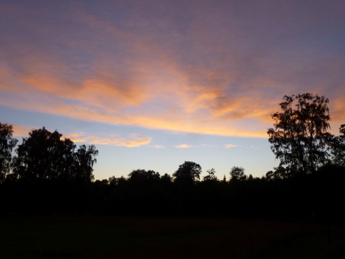 Kvällshimmel med orange molnformationer ovanför en silhuett av träd vid klockan 22:00.