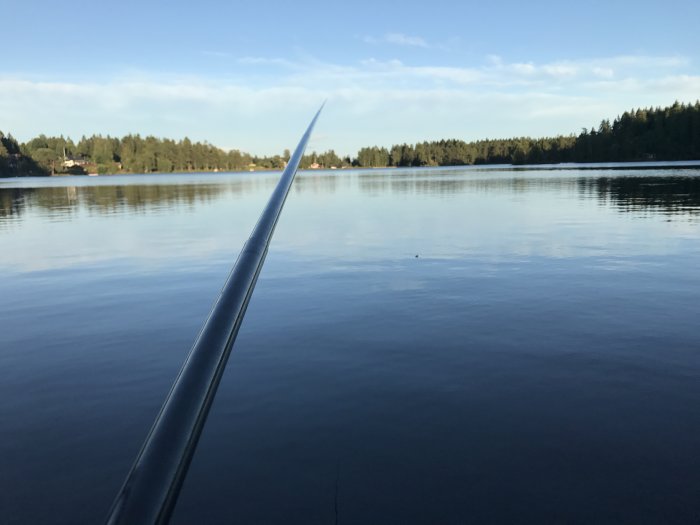 Fiskestång som når ut över en lugn sjö med skogsbeklädda stränder i bakgrunden.