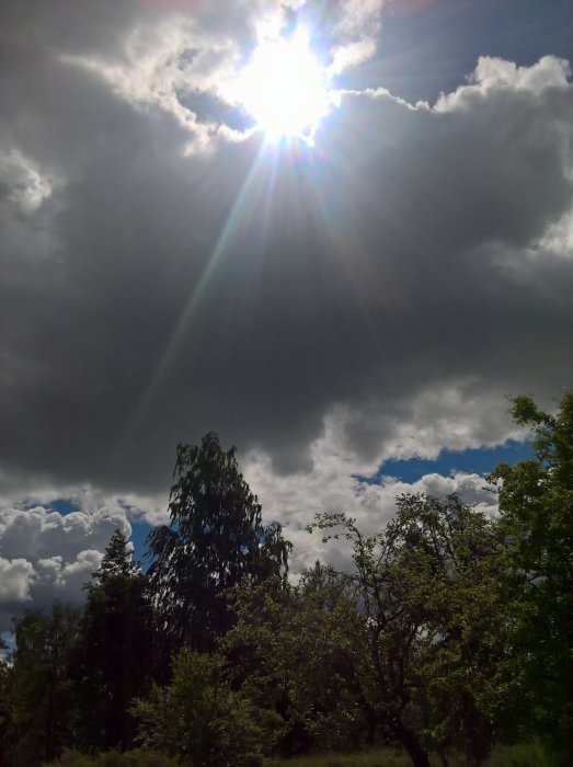 Solstrålar som bryter igenom molnen över en lummig trädgård.