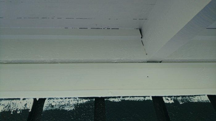 DSC_0726.JPG