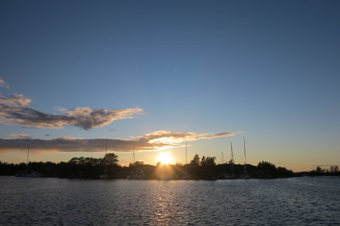 Solnedgång vid en småbåtshamn med segelbåtsmaster och reflektion i vattnet.