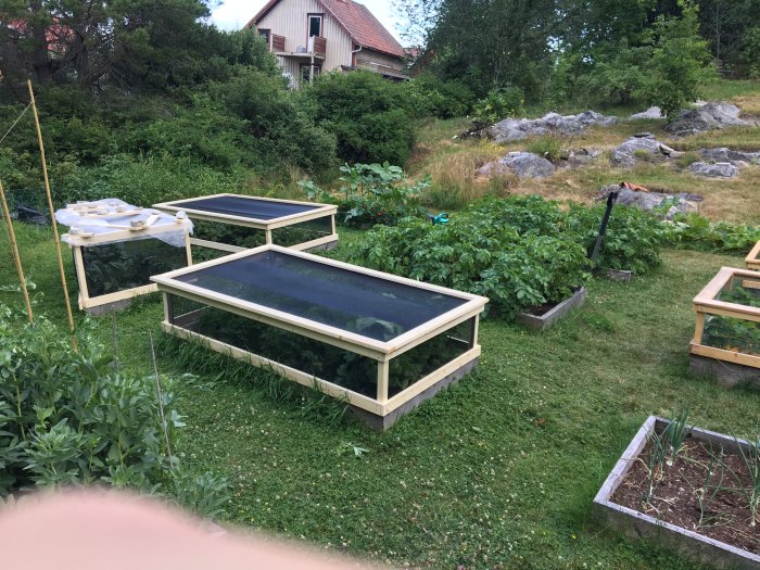 Trädgårdsbäddar med skyddsnät mot skadedjur i en trädgård.