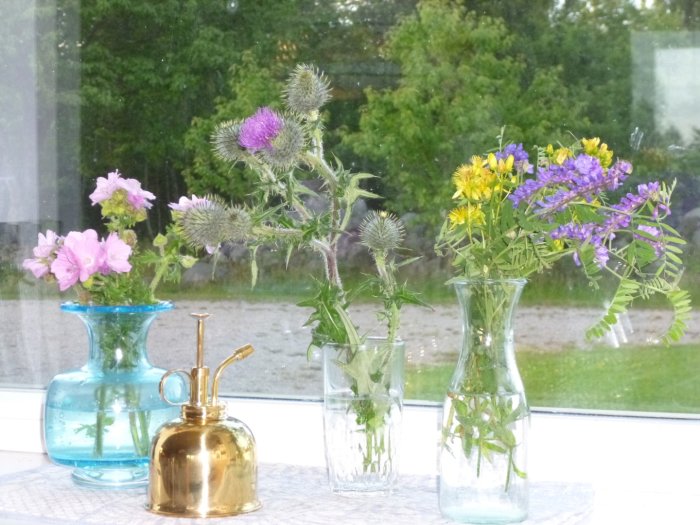 En samling vilda blommor, inklusive myskmalva, tistel, johannesört och kråkvicker, i vaser på en fönsterbräda.