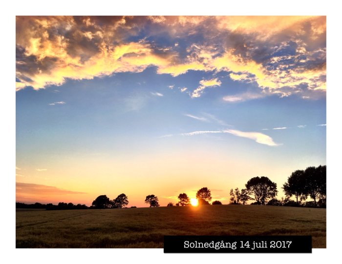 Dramatisk solnedgång med orangegula moln över ett gyllene fält, daterad 14 juli 2017.