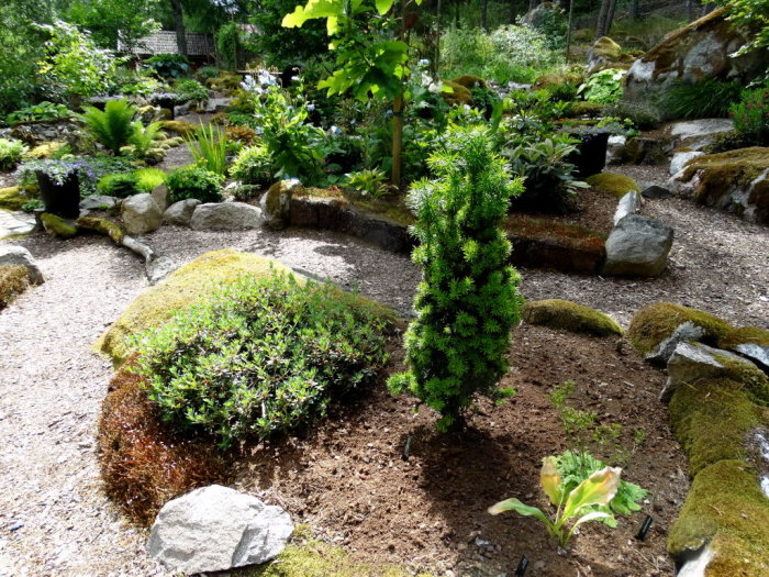 En välskött sommarträdgård med stigar, frodig växtlighet och grönskande buskar omgivna av stenar och mossa.
