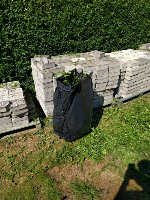 Häckbeskärningsarbete med en sopsäcksställning framför en lutande häck och staplar med stenplattor.