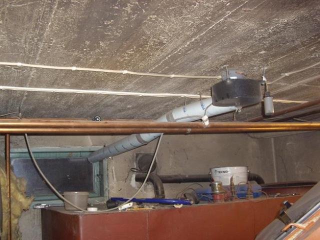 IMGP2610.jpg