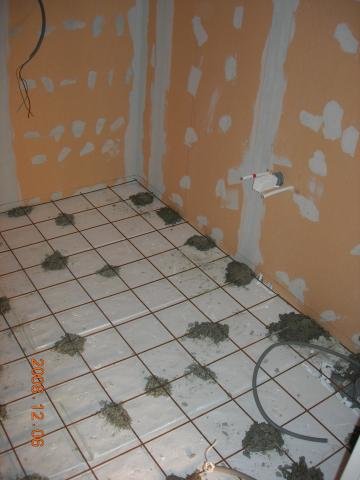 DSCN3383.jpg