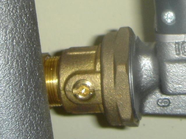 DSC03032.jpg