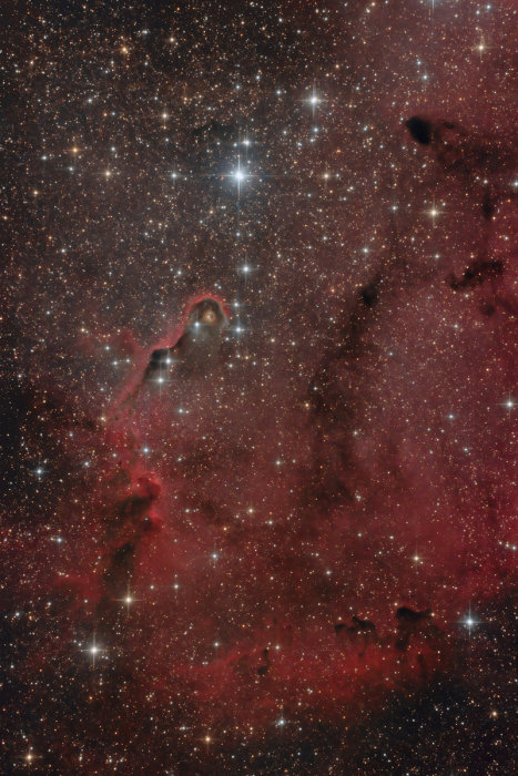 F-_Astrofoto_Redigerade_Elephants-trunk-nebula_550D_Till-utställning_o_final_rev-170704.jpg