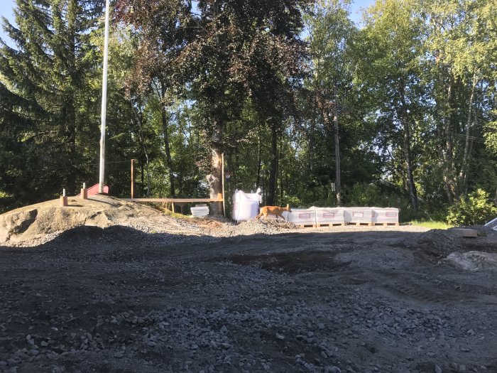 Byggarbetsplats med sandhög, rådjur och byggmaterial vid skogsbryn, under anläggning.