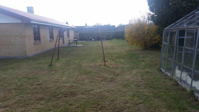 Trädgård under renovering med ojämn gräsmatta, ett växthus och en gungställning.