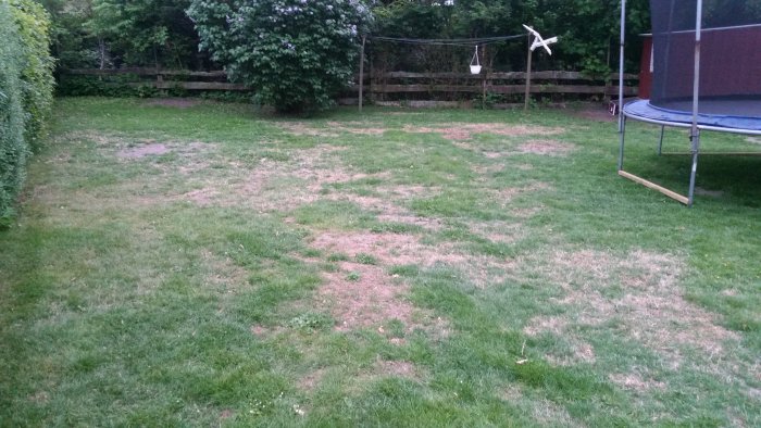 Renoveringsprojekt av en trädgård med ojämn gräsmatta, bar jord, en studsmatta och tvättlina.