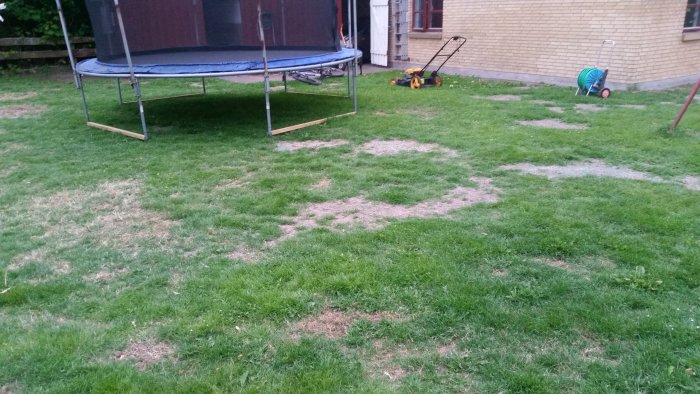 Gräsmatta med ojämn grästillväxt, en studsmatta, en ihopfälld gräsklippare och en trädgårdsvagn.