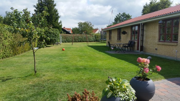 Välskött trädgård med grönt gräs, ett äppelträd, gungställning och blommande buskar nära huset.