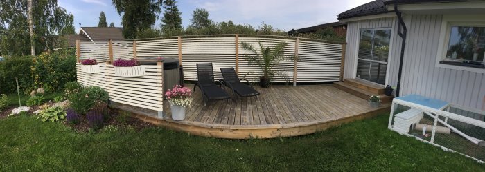 Trädäck med solstolar och ett spabad, intill en palm och ett vitmålat kaninbur, i en hemträdgård.