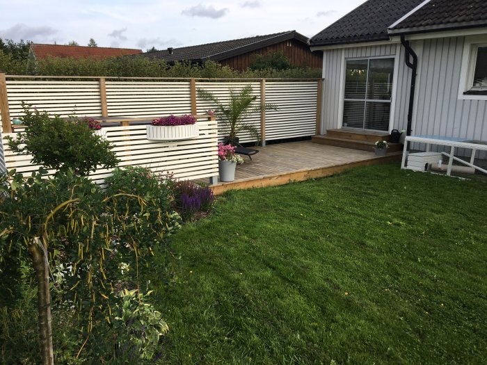 Trädäck med räcke vid hus, sommarpalm till höger, och planteringar längs med staketet.