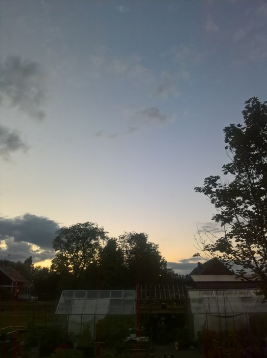 Solnedgång över en trädgård med växthus och kringliggande träd i Dalarna.