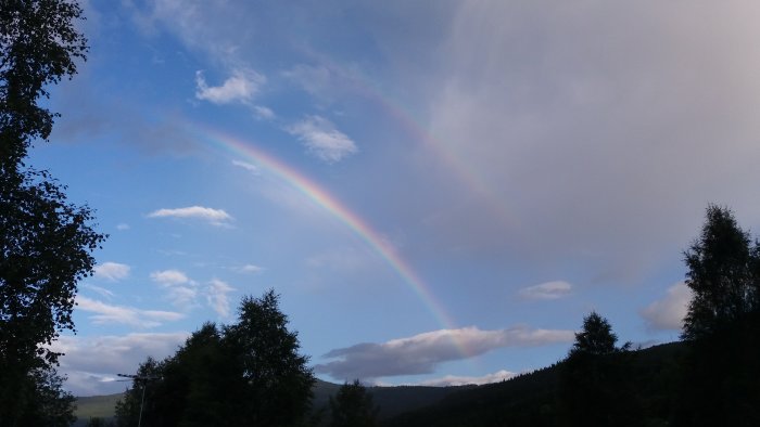 Dubbel regnbåge över ett skogsbeklätt landskap med blå himmel och moln.