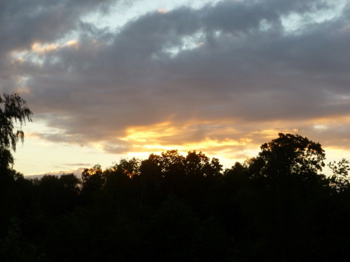 Solnedgång med moln över trädtoppar vid 21.09, reflektioner av solens värme och ljus.
